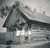 eika image